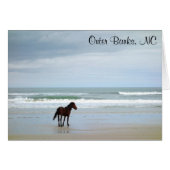 Wild Horse Outer Banks NC Card (Front Horizontal)