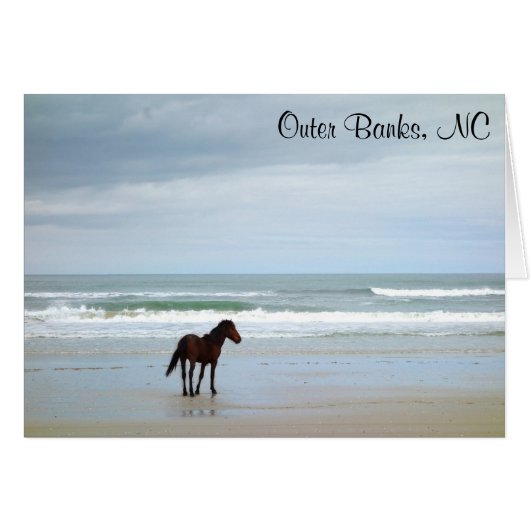 Wild Horse Outer Banks NC Card (Front Horizontal)