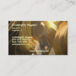 Wild Horse Photo Business Card at Zazzle