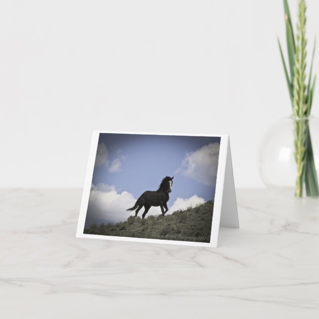 Wild Horse Photography Note Card (Front)