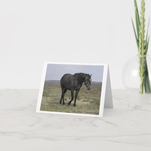 Wild Horse Photography Note Card Design 5 (Front)