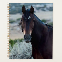 Wild Horse Planner