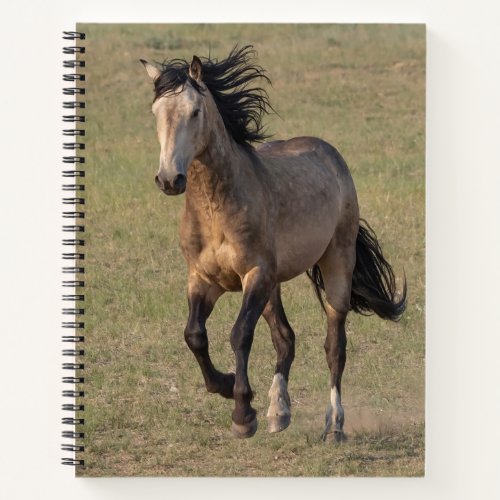 Wild Horse Planner Topaz Runs Notebook