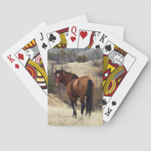 Wild Horse Poker Cards