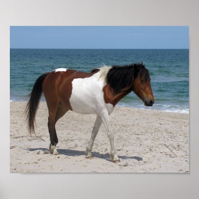 Wild Horse Poster (Front)