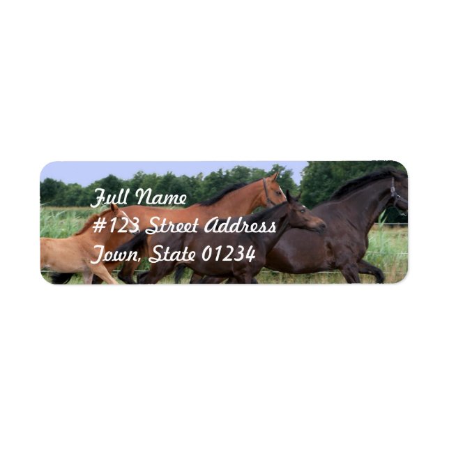 Wild Horse Return Address Mailing Label (Front)