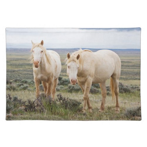 Wild Horse Roaming on the Priaire of Cody Cloth Placemat