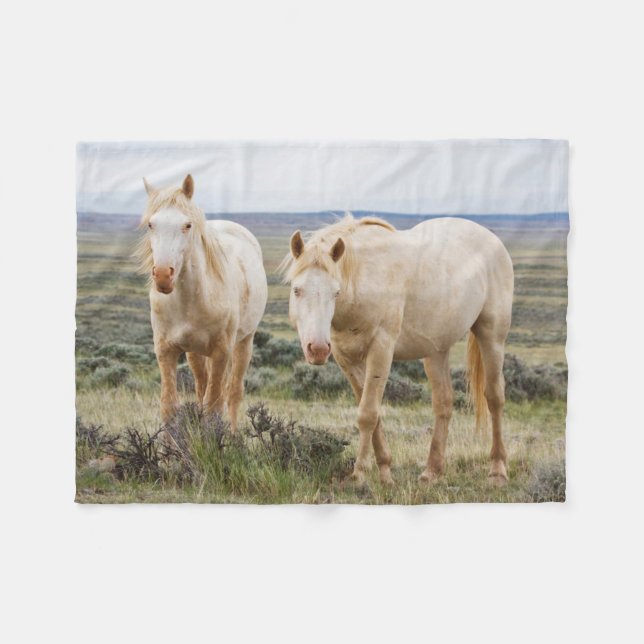 Wild Horse Roaming on the Priaire of Cody Fleece Blanket (Front (Horizontal))