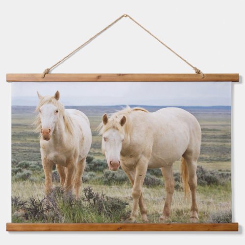 Wild Horse Roaming on the Priaire of Cody Hanging Tapestry