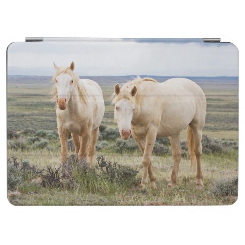 Wild Horse Roaming on the Priaire of Cody iPad Air Cover