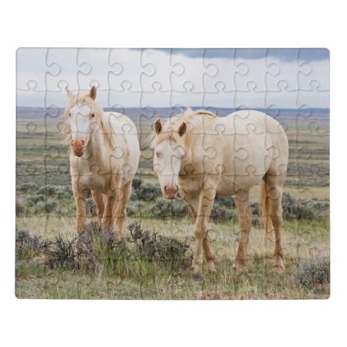 Wild Horse Roaming on the Priaire of Cody Jigsaw Puzzle