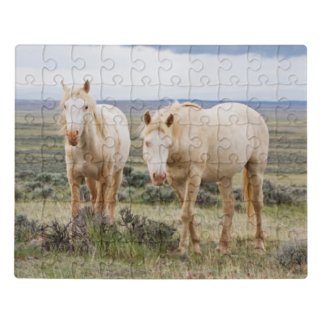 Wild Horse Roaming on the Priaire of Cody Jigsaw Puzzle (Puzzle Horizontal)