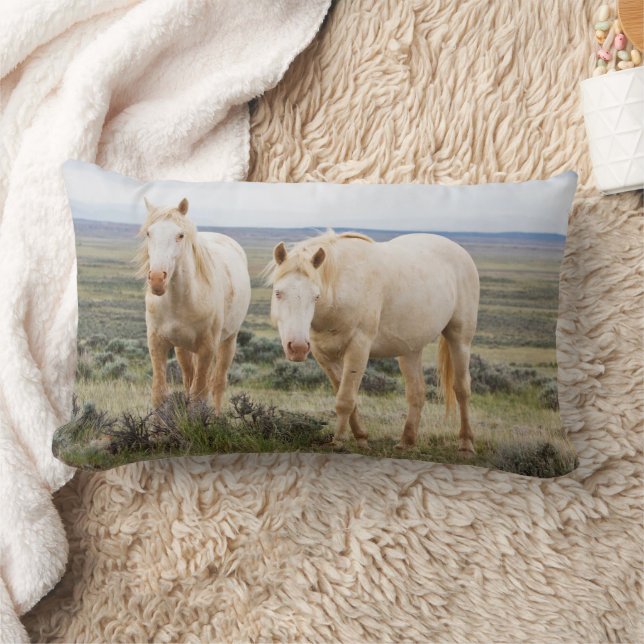 Wild Horse Roaming on the Priaire of Cody Lumbar Pillow (Blanket)