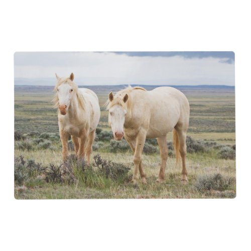 Wild Horse Roaming on the Priaire of Cody Placemat