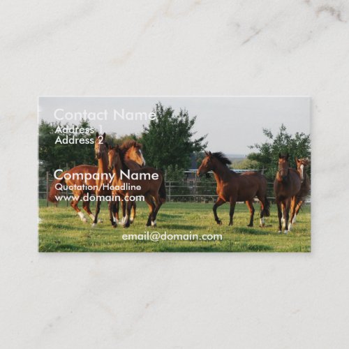 Wild Horse Round Up Business Card