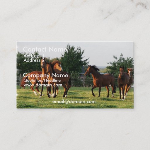 Customizable Wild Horse Round Up Business Card
