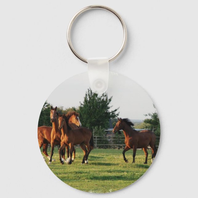 Wild Horse Roundup Keychain (Front)