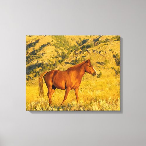 Wild Horse Sanctuary Canvas Print