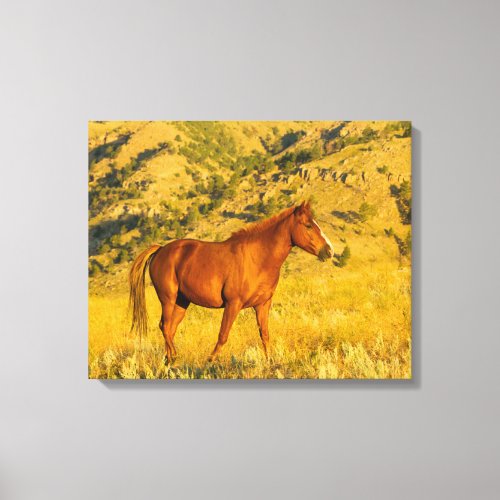 Wild Horse Sanctuary Canvas Print