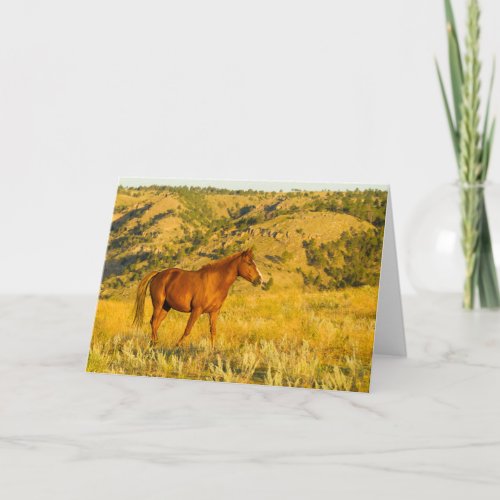 Wild Horse Sanctuary Card