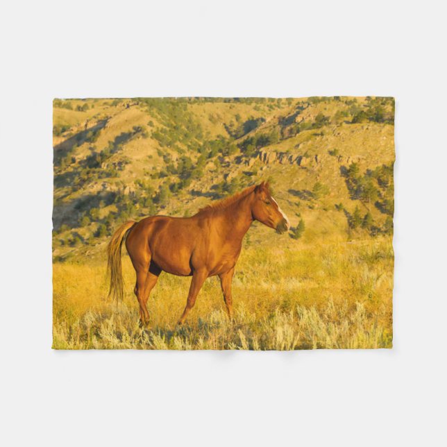 Wild Horse Sanctuary. Fleece Blanket (Front (Horizontal))