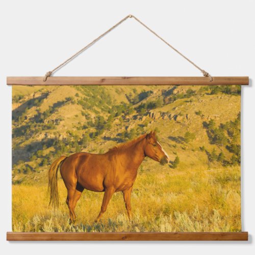 Wild Horse Sanctuary Hanging Tapestry