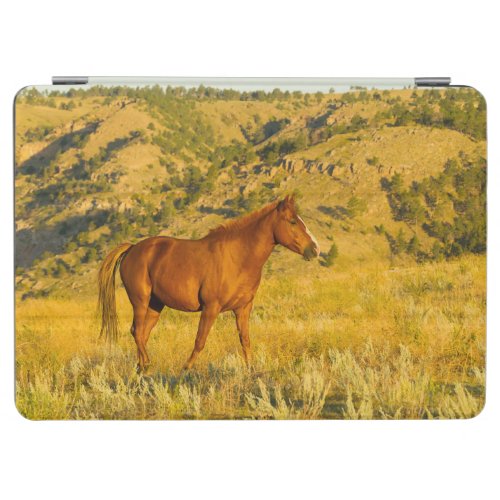 Wild Horse Sanctuary iPad Air Cover