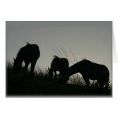 Wild Horse Silhouettes (Front Horizontal)