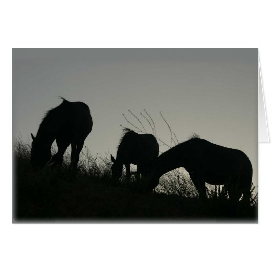 Wild Horse Silhouettes Cards (Front Horizontal)
