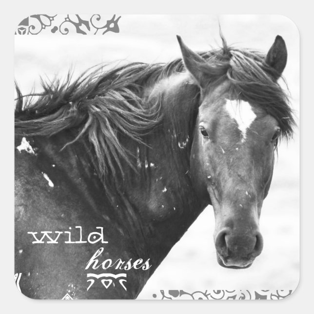 Wild Horse Southwest Photo Stickers  (Front)