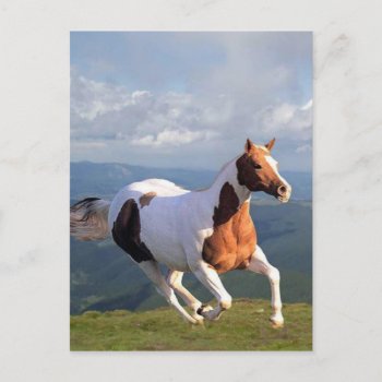 Wild Horse Spirit Postcard by thecoveredbridge at Zazzle