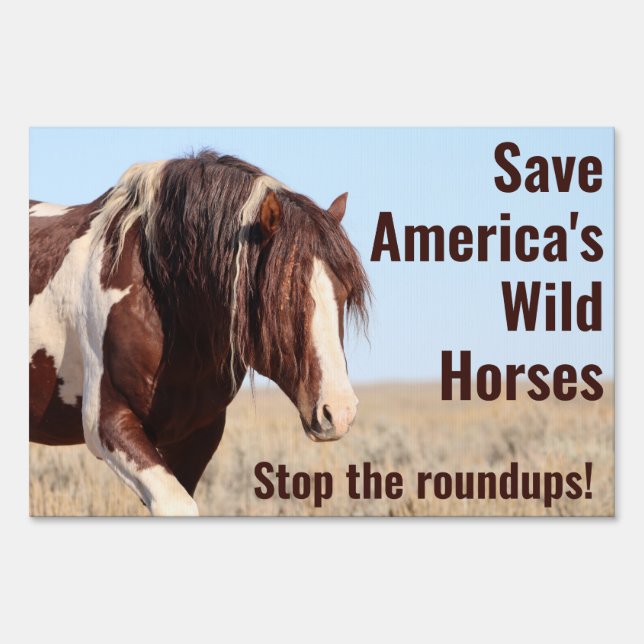 Wild Horse Splaash Sign (Front)