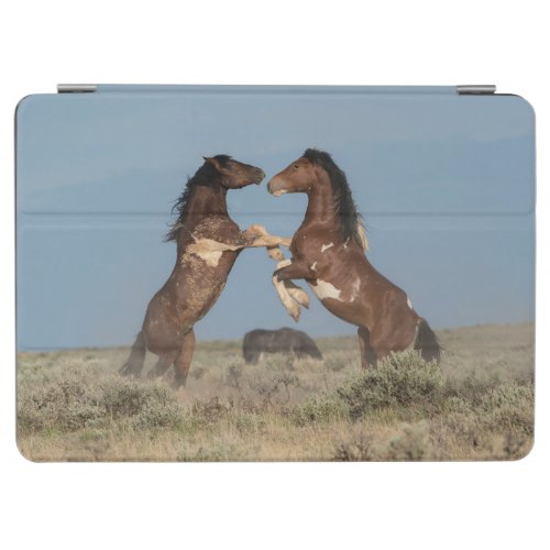 Wild Horse Stallions Fighting iPad Air Cover