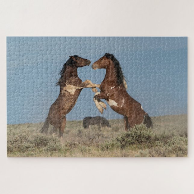 Wild Horse Stallions Fighting Jigsaw Puzzle (Horizontal)