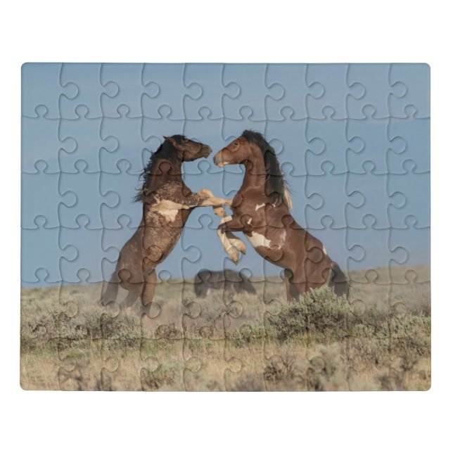 Wild Horse Stallions Fighting Jigsaw Puzzle (Puzzle Horizontal)
