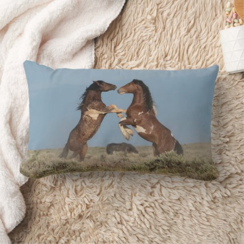 Wild Horse Stallions Fighting Lumbar Pillow