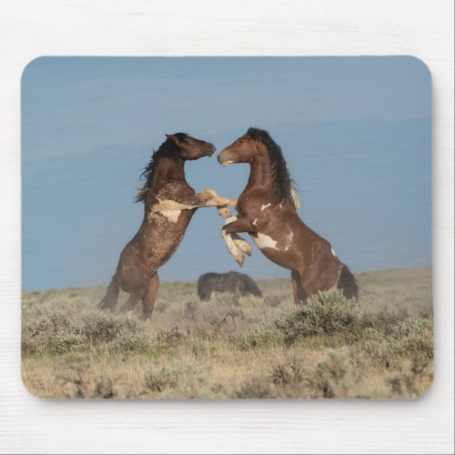 Wild Horse Stallions Fighting Mouse Pad