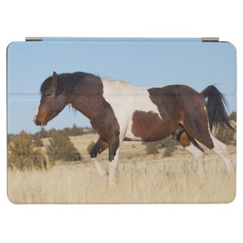 Wild Horse Steens Mountains iPad Air Cover