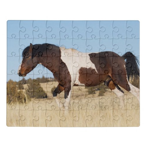 Wild Horse Steens Mountains Jigsaw Puzzle