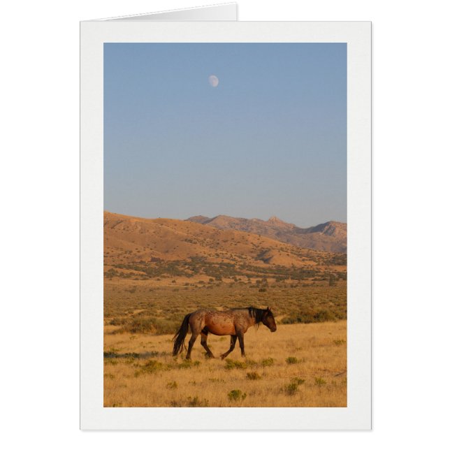 Wild Horse walking home from water hole with moon (Front)