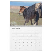 Wild Horse Washakie Calendar (Mar 2025)