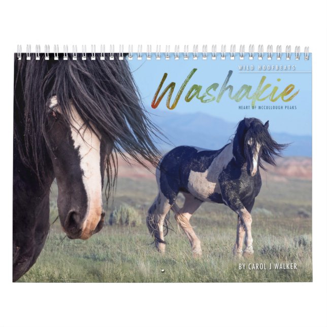 Wild Horse Washakie Calendar (Cover)