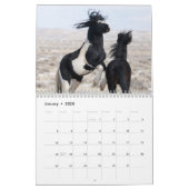 Wild Horse Washakie Calendar (Jan 2025)
