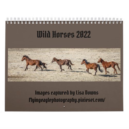 Wild Horses 2022 Calendar