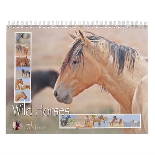 Wild Horses a calendar Calendar