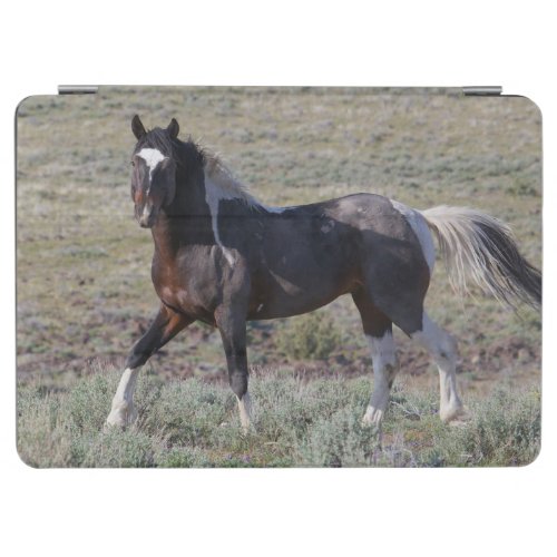 Wild Horses After a Dust Bath iPad Air Cover