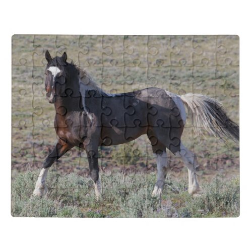 Wild Horses After a Dust Bath Jigsaw Puzzle