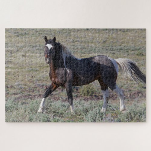 Wild Horses After a Dust Bath Jigsaw Puzzle