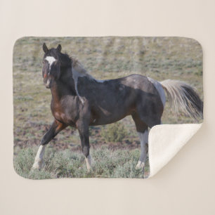 Wild Horses After a Dust Bath Sherpa Blanket