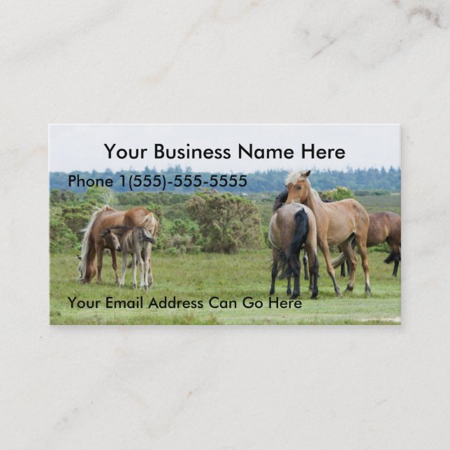Wild Horses and foals Business Cards (Front)